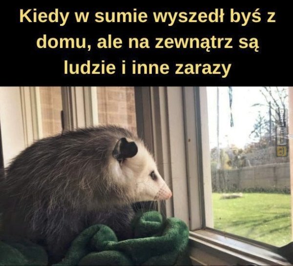 Śmieszny mem: 9623418 - MemLand
