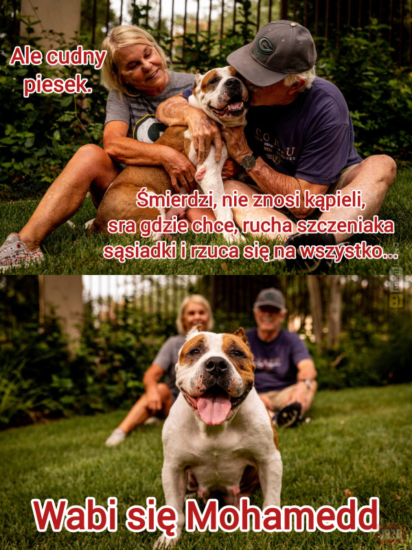 Śmieszny mem: 9635700 - MemLand