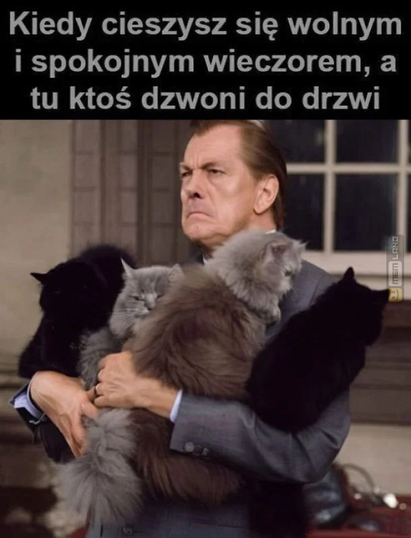 Śmieszny mem: 9641958 - MemLand