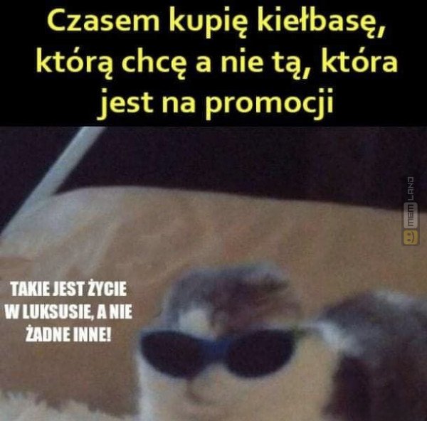 Śmieszny mem: 9647136 - MemLand