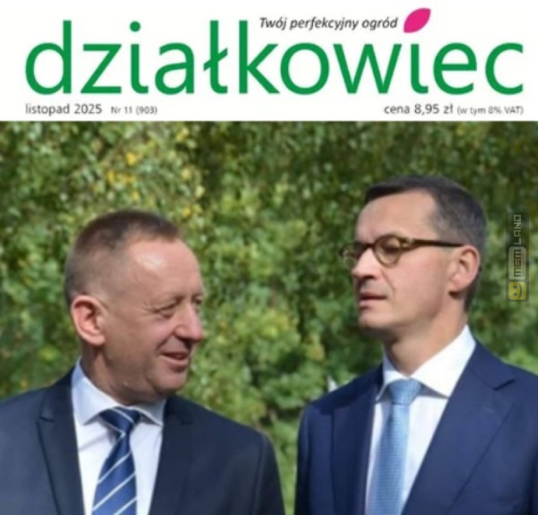 Śmieszny mem: 9650469 - MemLand