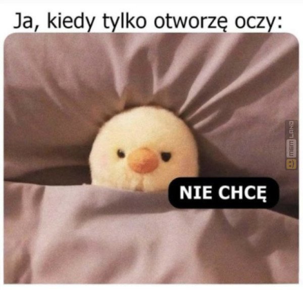 Śmieszny mem: 9654850 - MemLand