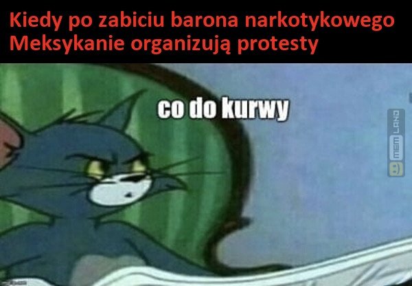 Śmieszny mem: 9656157 - MemLand