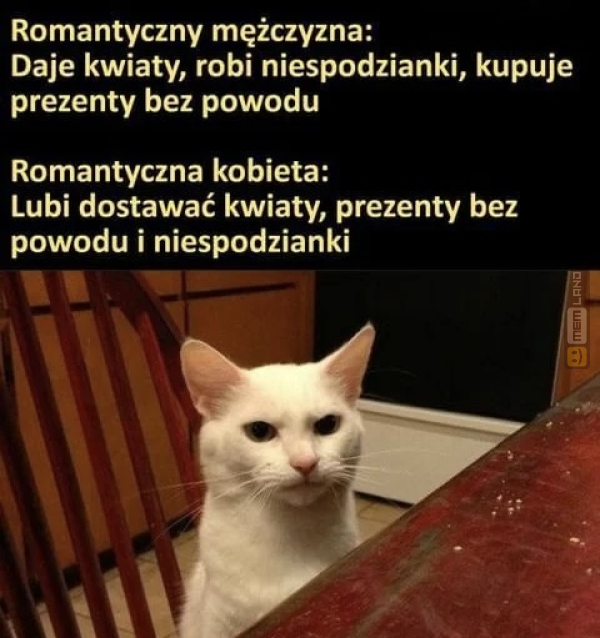 Śmieszny mem: 9658790 - MemLand