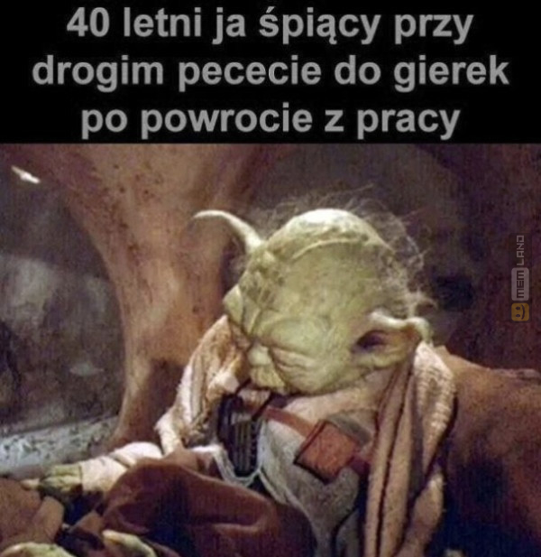 Śmieszny mem: 9662820 - MemLand
