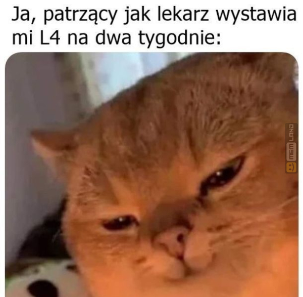 Śmieszny mem: 9665468 - MemLand