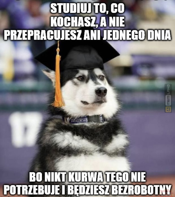 Śmieszny mem: 9669656 - MemLand