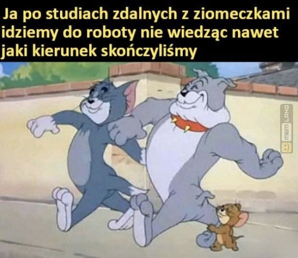 Śmieszny mem: 9672539 - MemLand