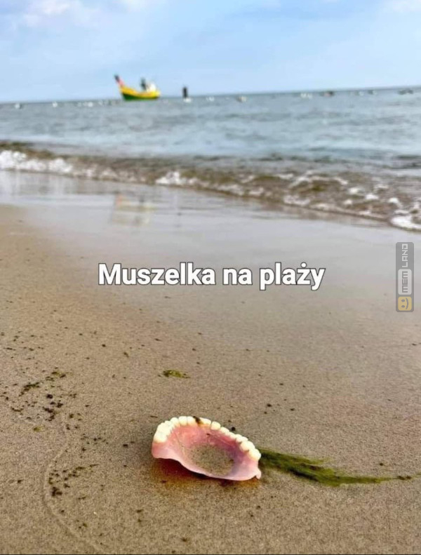 Śmieszny mem: 9682169 - MemLand