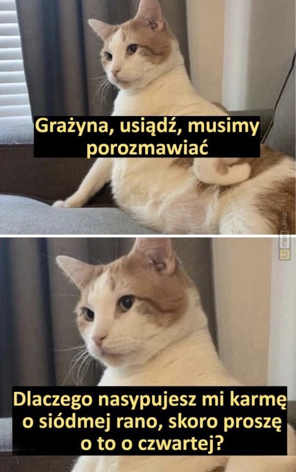Śmieszny mem: 9687626 - MemLand