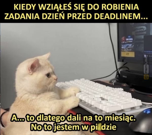 Śmieszny mem: 9688131 - MemLand