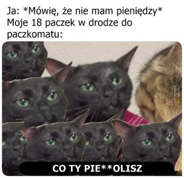 Śmieszny mem: 9689728 - MemLand