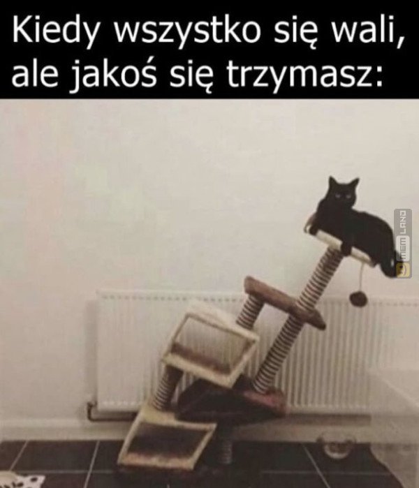 Śmieszny mem: 9691712 - MemLand