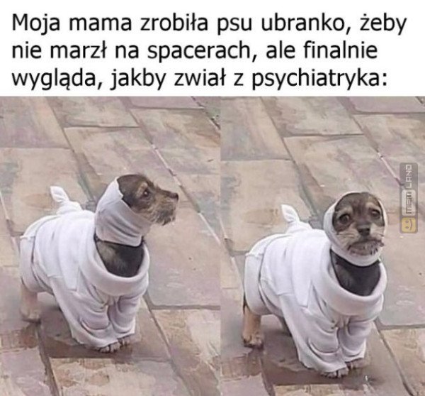 Śmieszny mem: 9691817 - MemLand