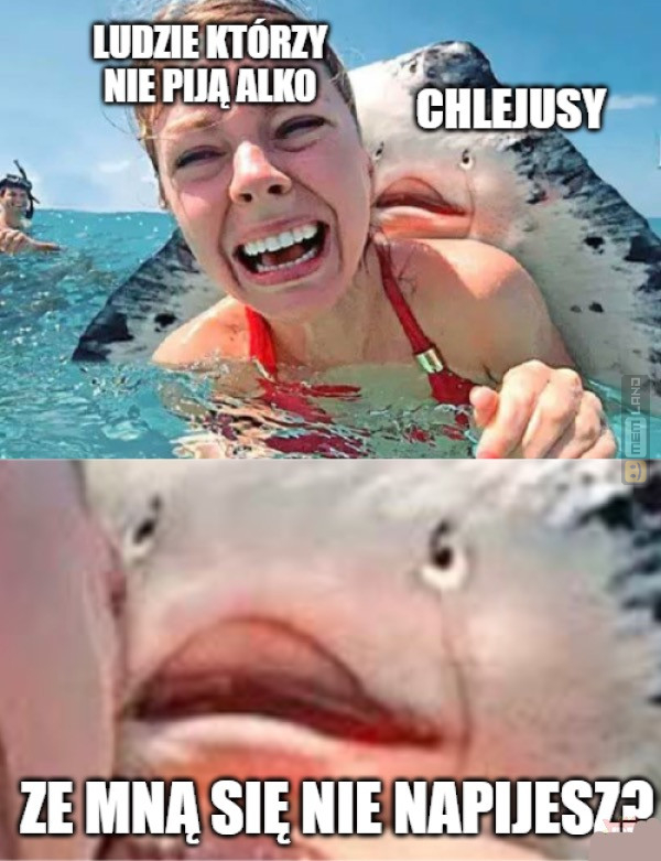 Śmieszny mem: 9694245 - MemLand