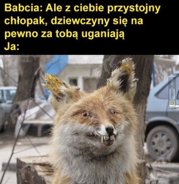 Śmieszny mem: 9709950 - MemLand