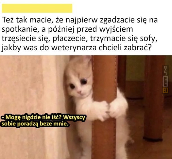 Śmieszny mem: 9710887 - MemLand