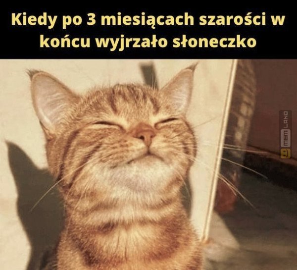 Śmieszny mem: 9711350 - MemLand