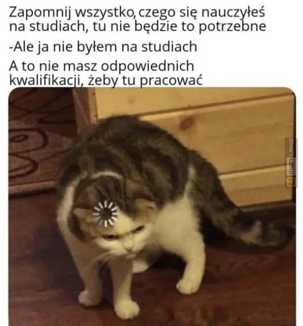 Śmieszny mem: 9718766 - MemLand