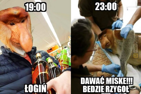 Śmieszny mem: 9720075 - MemLand