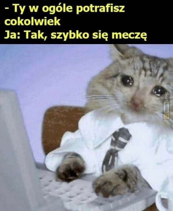 Śmieszny mem: 9722496 - MemLand