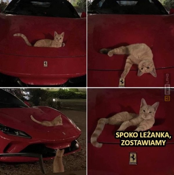 Śmieszny mem: 9725345 - MemLand