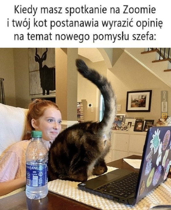 Śmieszny mem: 9731048 - MemLand