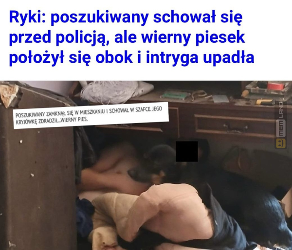 Śmieszny mem: 9731328 - MemLand