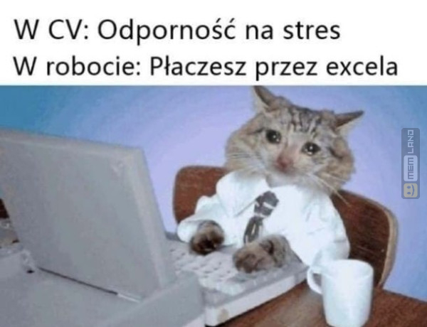 Śmieszny mem: 9741354 - MemLand