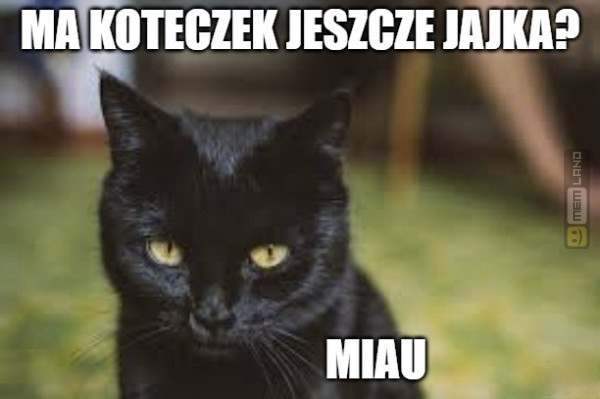 Śmieszny mem: 9741757 - MemLand