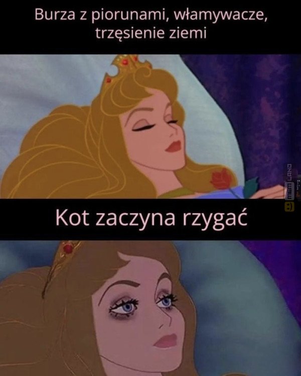 Śmieszny mem: 9755568 - MemLand