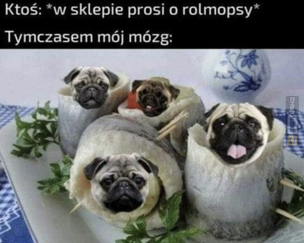 Śmieszny mem: 9765245 - MemLand