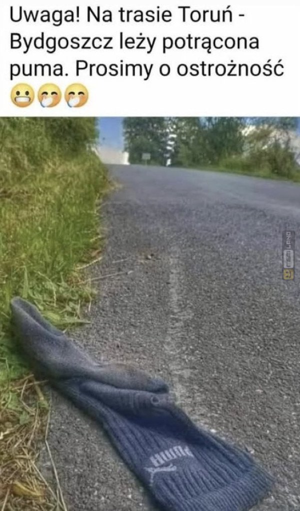 Śmieszny mem: 9767694 - MemLand