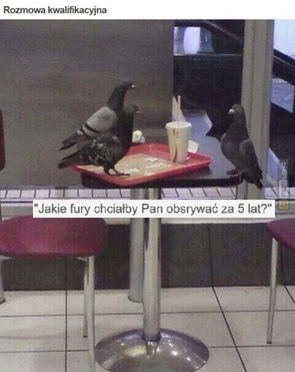 Śmieszny mem: 9769072 - MemLand