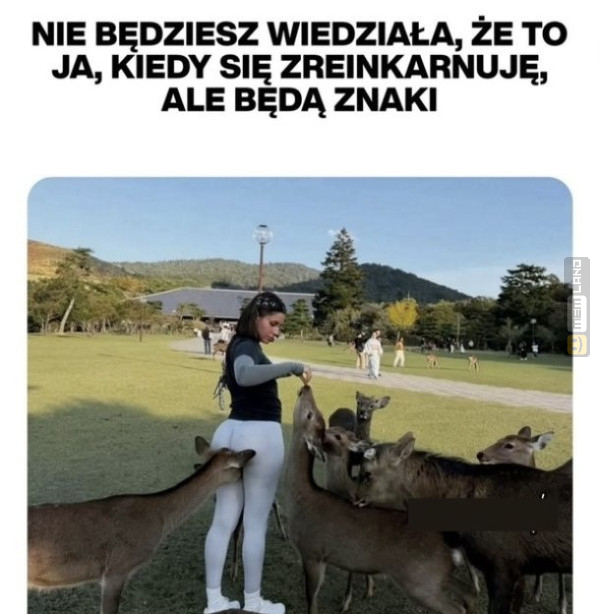 Śmieszny mem: 9775253 - MemLand