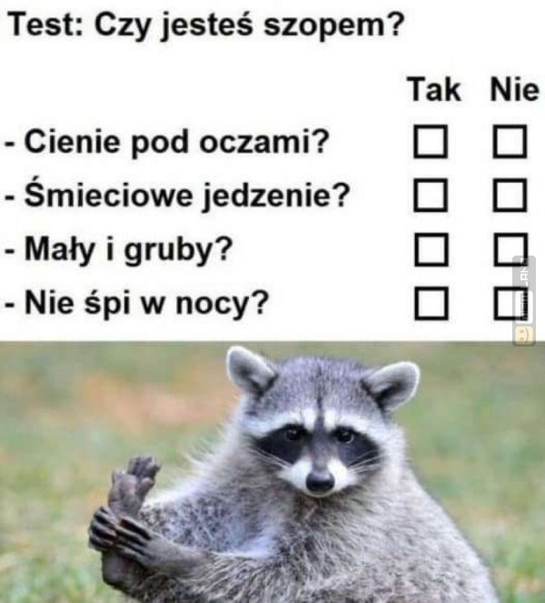 Śmieszny mem: 9776107 - MemLand