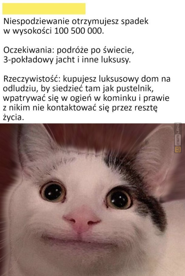 Śmieszny mem: 9781202 - MemLand