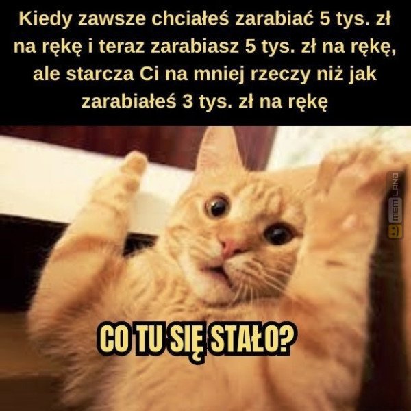 Śmieszny mem: 9782806 - MemLand