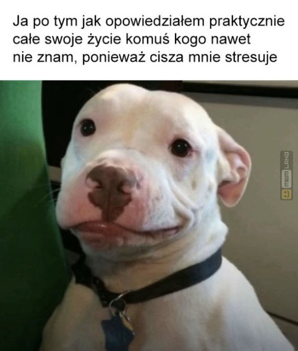 Śmieszny mem: 9784377 - MemLand