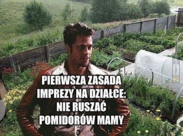 Śmieszny mem: 9787032 - MemLand