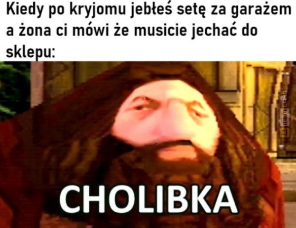 Śmieszny mem: 9792547 - MemLand