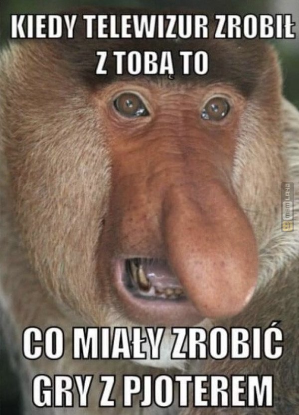 Śmieszny mem: 9797177 - MemLand