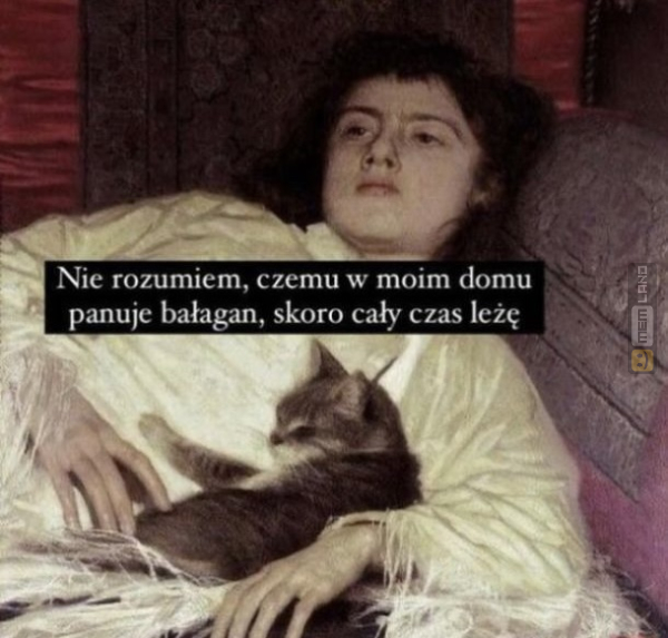 Śmieszny mem: 9806746 - MemLand