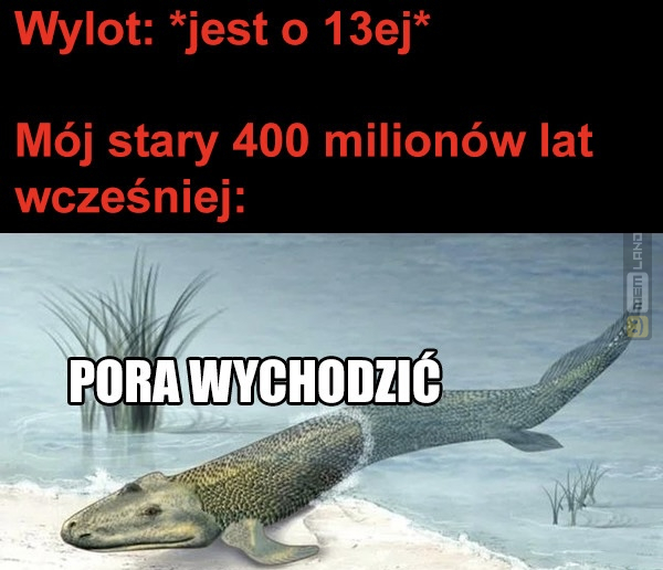 Śmieszny mem: 9810820 - MemLand