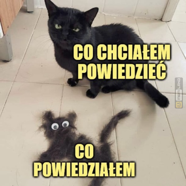 Śmieszny mem: 9814257 - MemLand