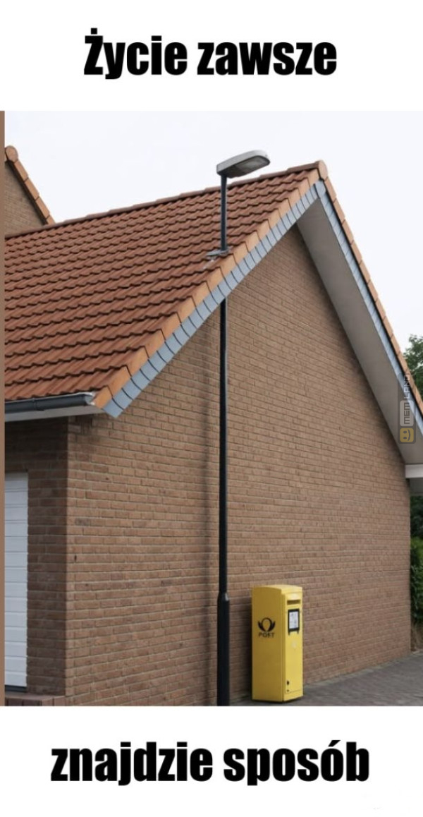 Śmieszny mem: 9817383 - MemLand