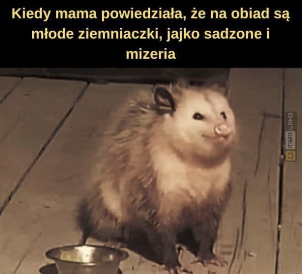 Śmieszny mem: 9817977 - MemLand