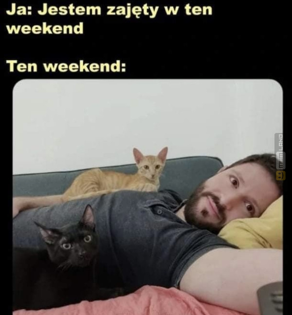 Śmieszny mem: 9818193 - MemLand