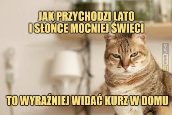 Śmieszny mem: 9818681 - MemLand