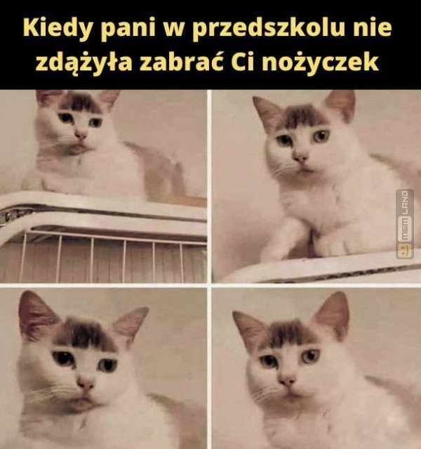 Śmieszny mem: 9830906 - MemLand